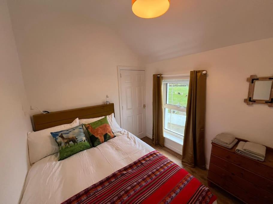 The Alpaca Farmhouse With Hot Tub And Alpaca Experience Included Dromara Exterior foto