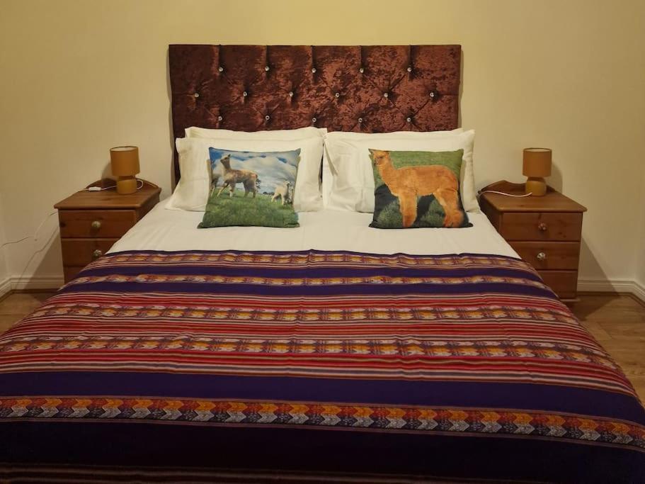 The Alpaca Farmhouse With Hot Tub And Alpaca Experience Included Dromara Exterior foto